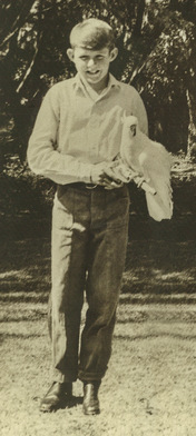 Jeremy Griffith aged 13 with his pet cockatoo Jeremy Griffith aged 13 holding his pet cockatoo
